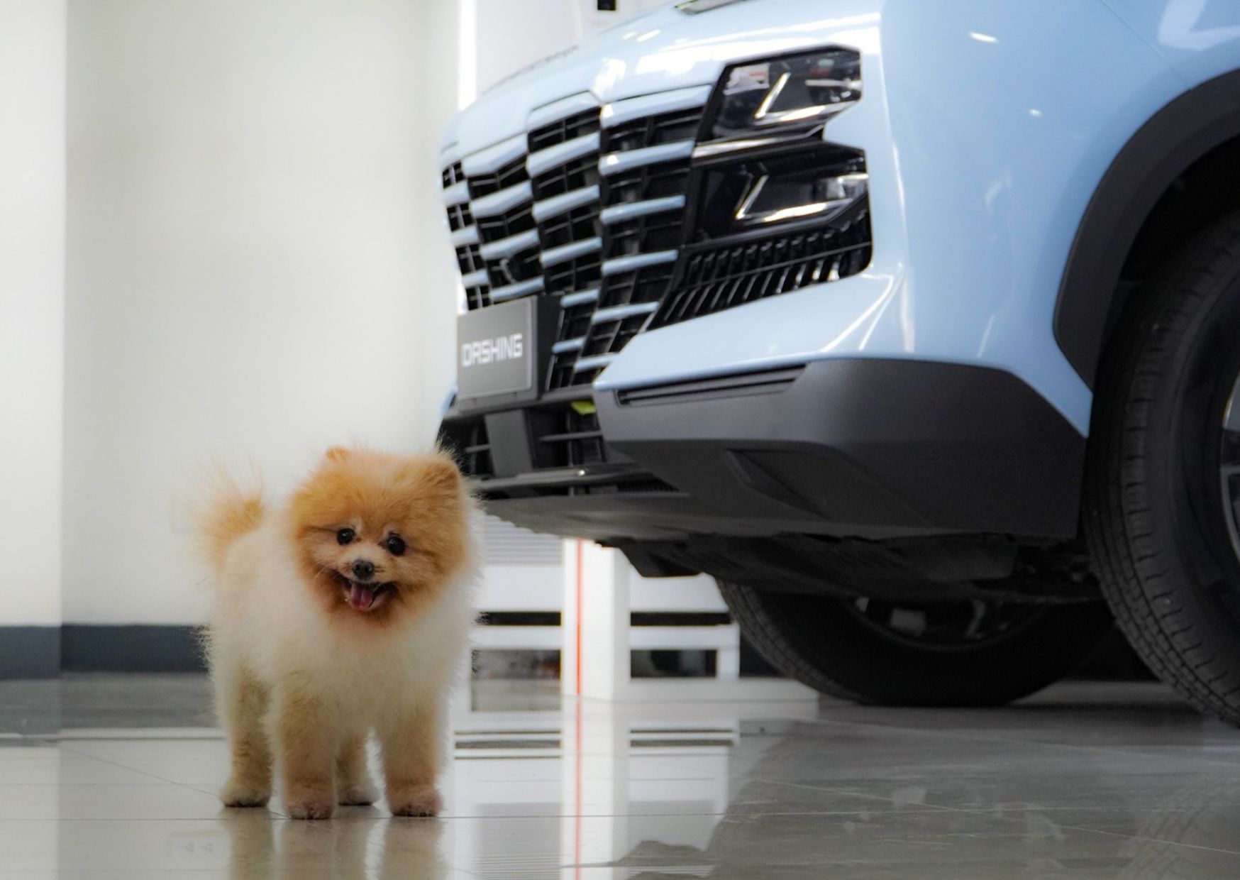 Starting October, your pets are welcome in JETOUR Auto PH showrooms