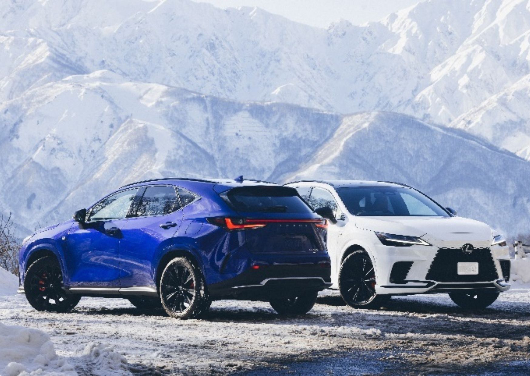 Lexus Holiday Pop-Up at Mitsukoshi: A Celebration of Craftsmanship and Holiday Cheer