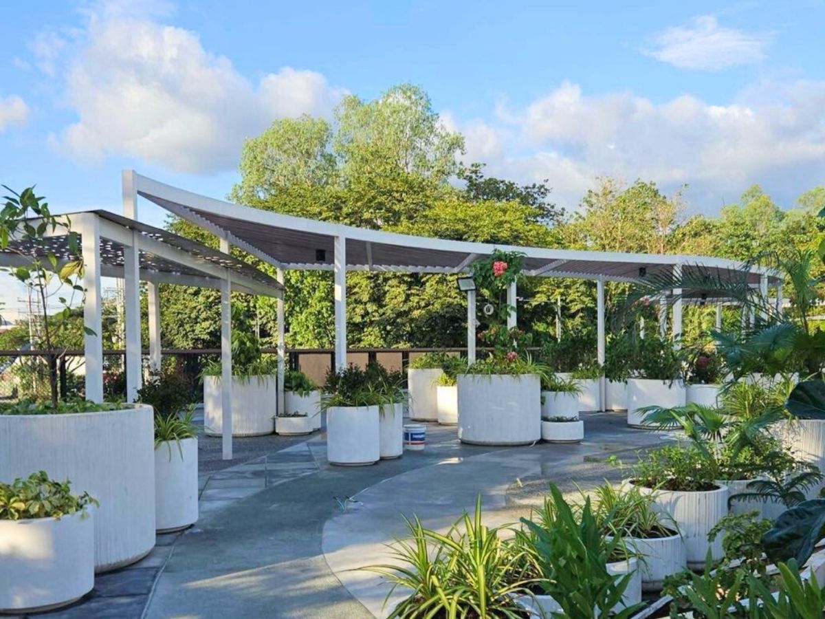 New QC Elevated Landscape Promenade walkway and green landscaping