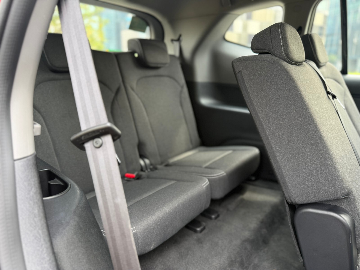 VinFast Limo Green_7