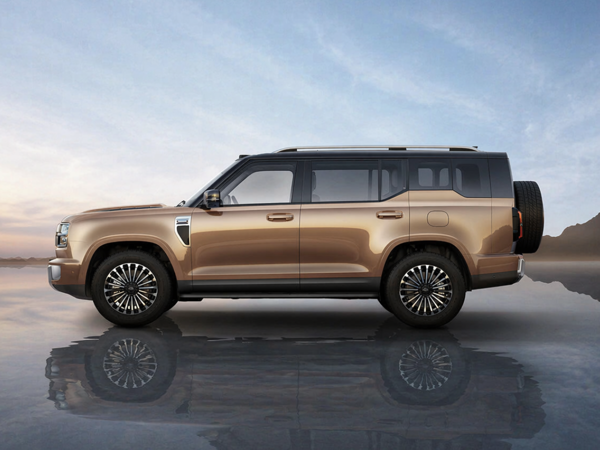 GWM Haval H10 left side