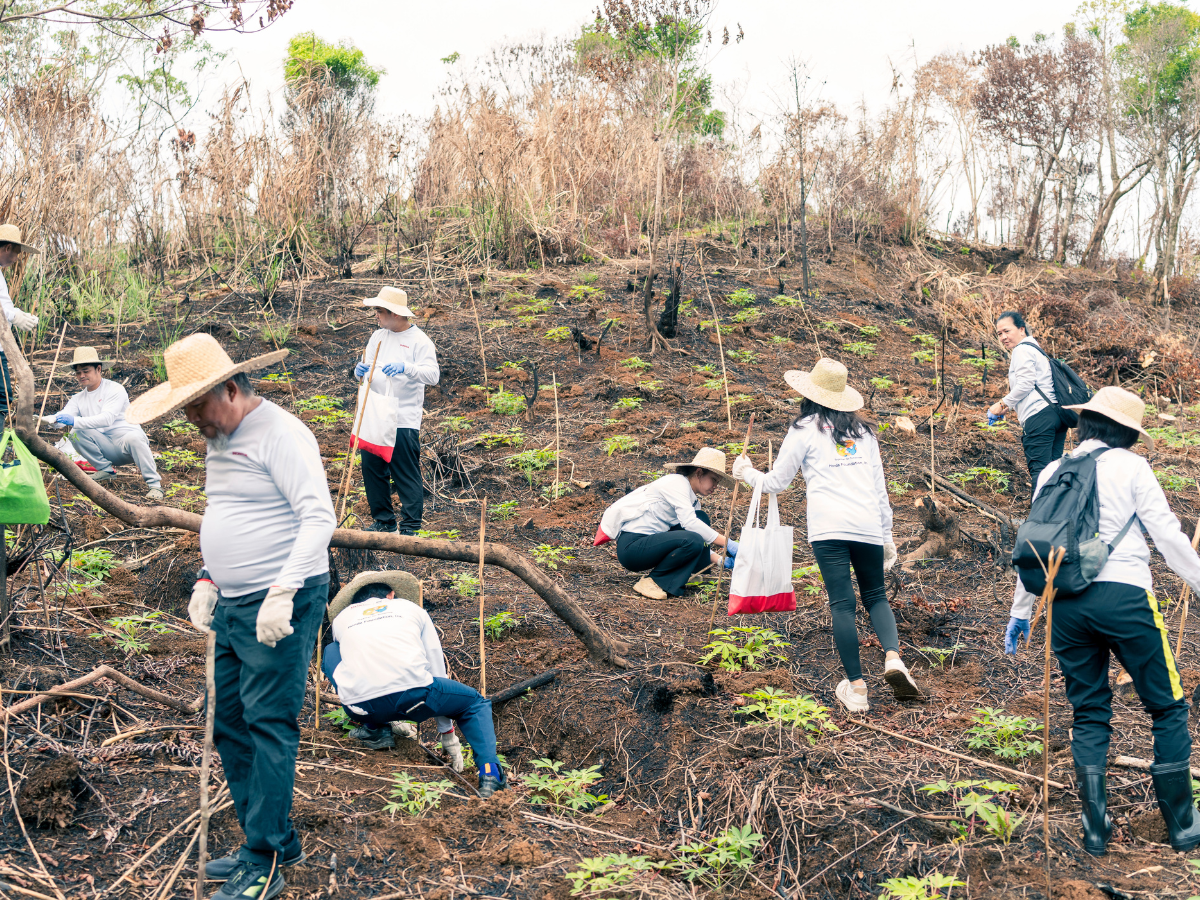Honda tree planting 2026_2