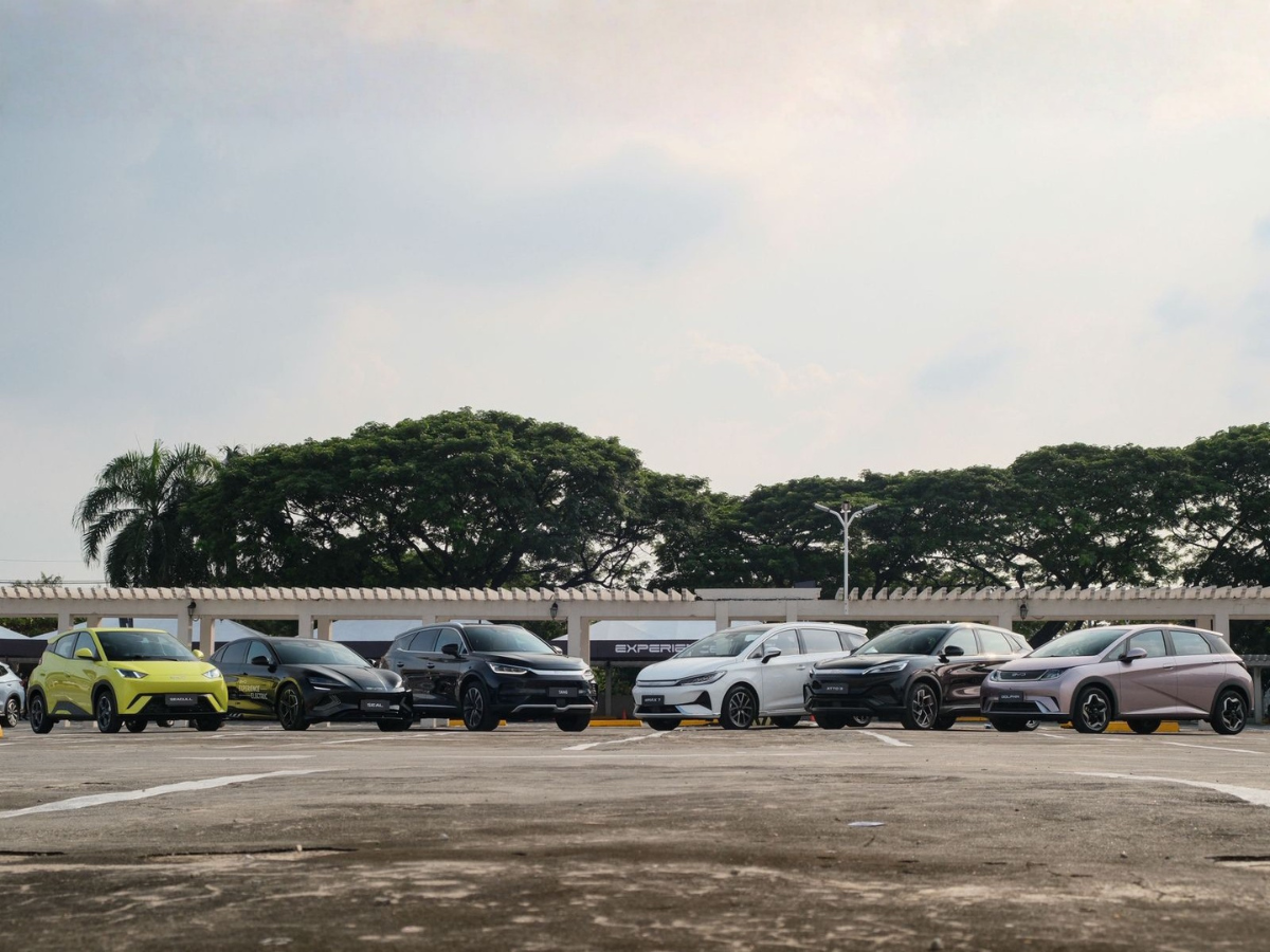 BYD EVs