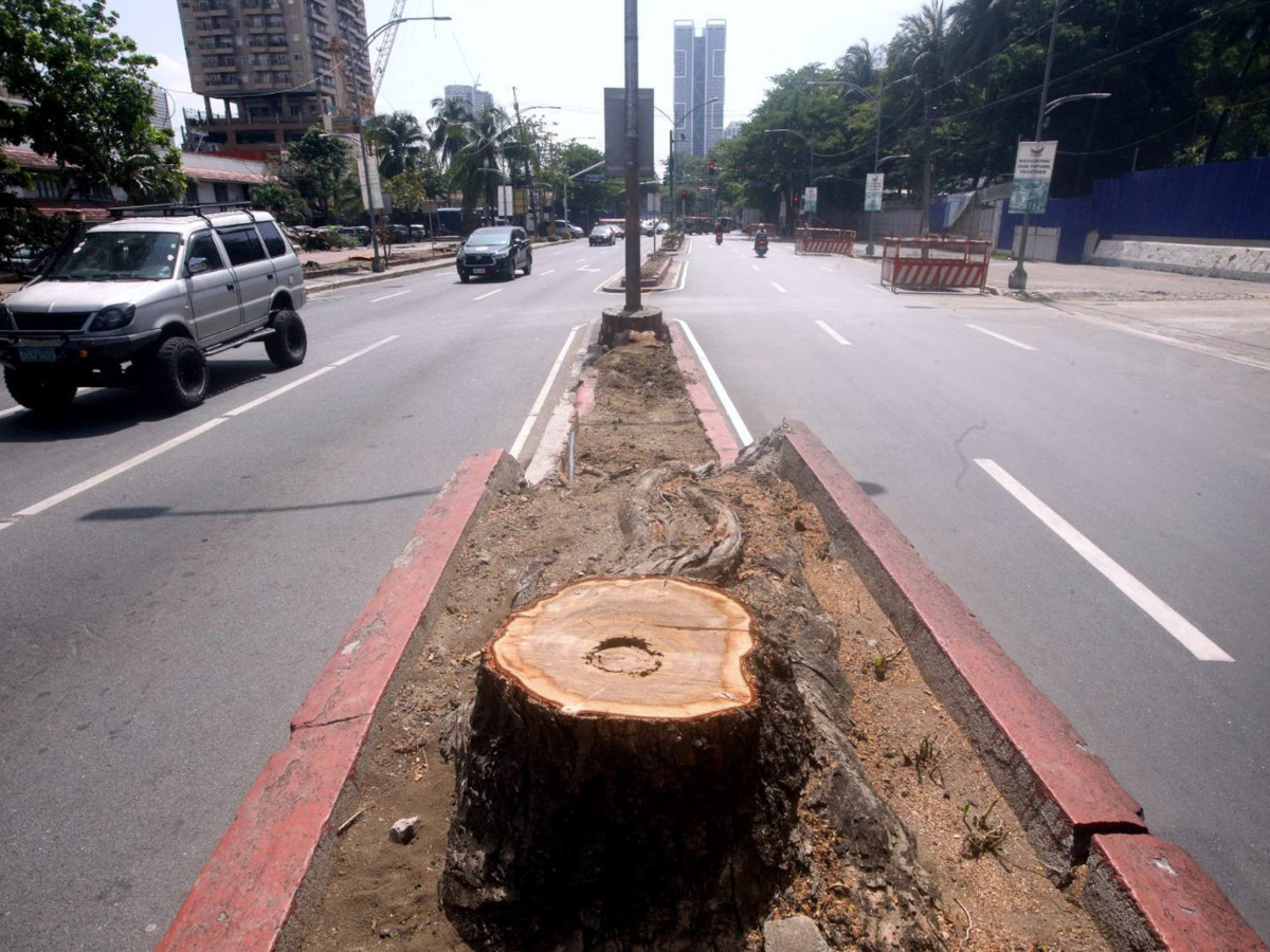 Quirino Avenue