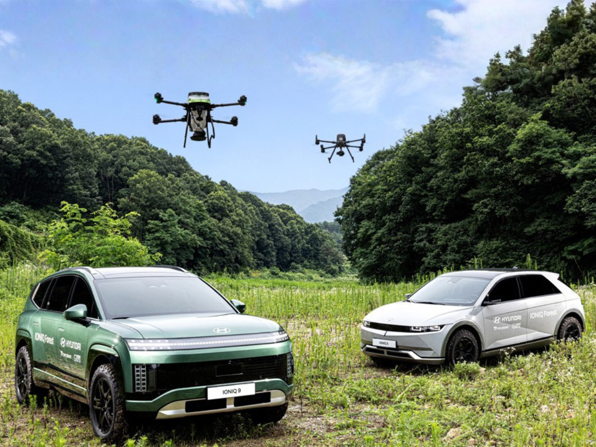 Hyundai Ioniq Forest Project_2