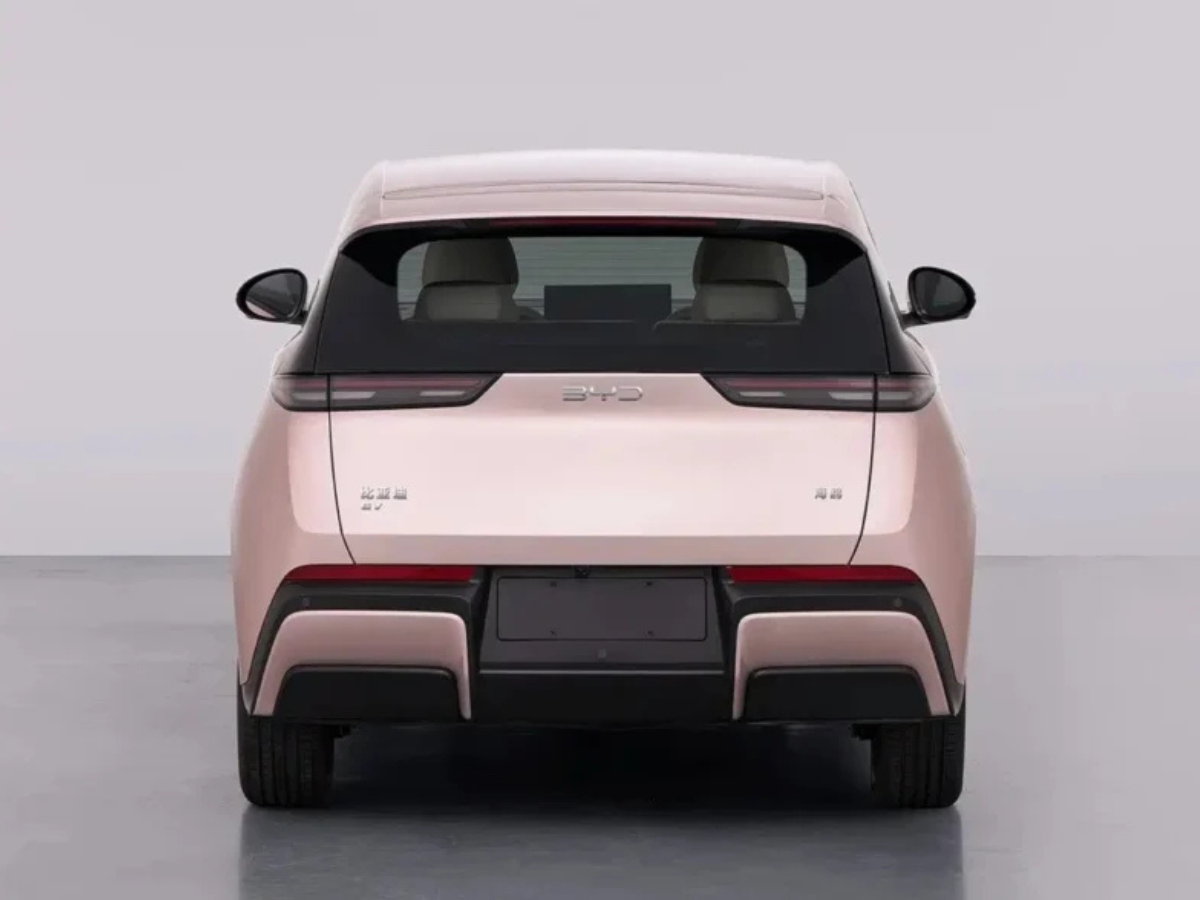 Next Seagull rear end