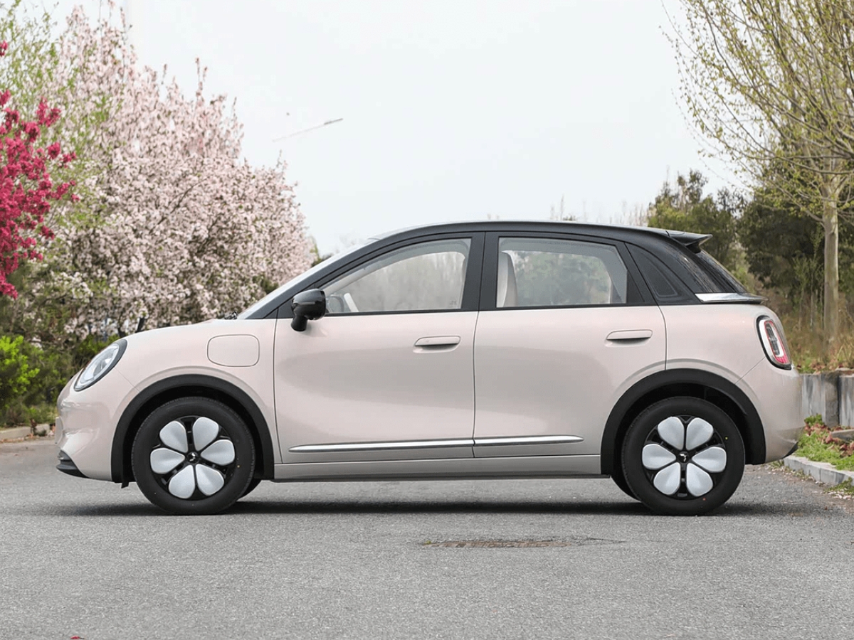 Wuling Bingo Pro_2