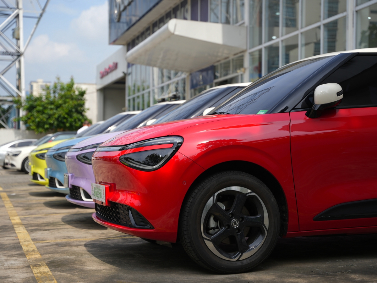 Dongfeng PH PROTECH_1